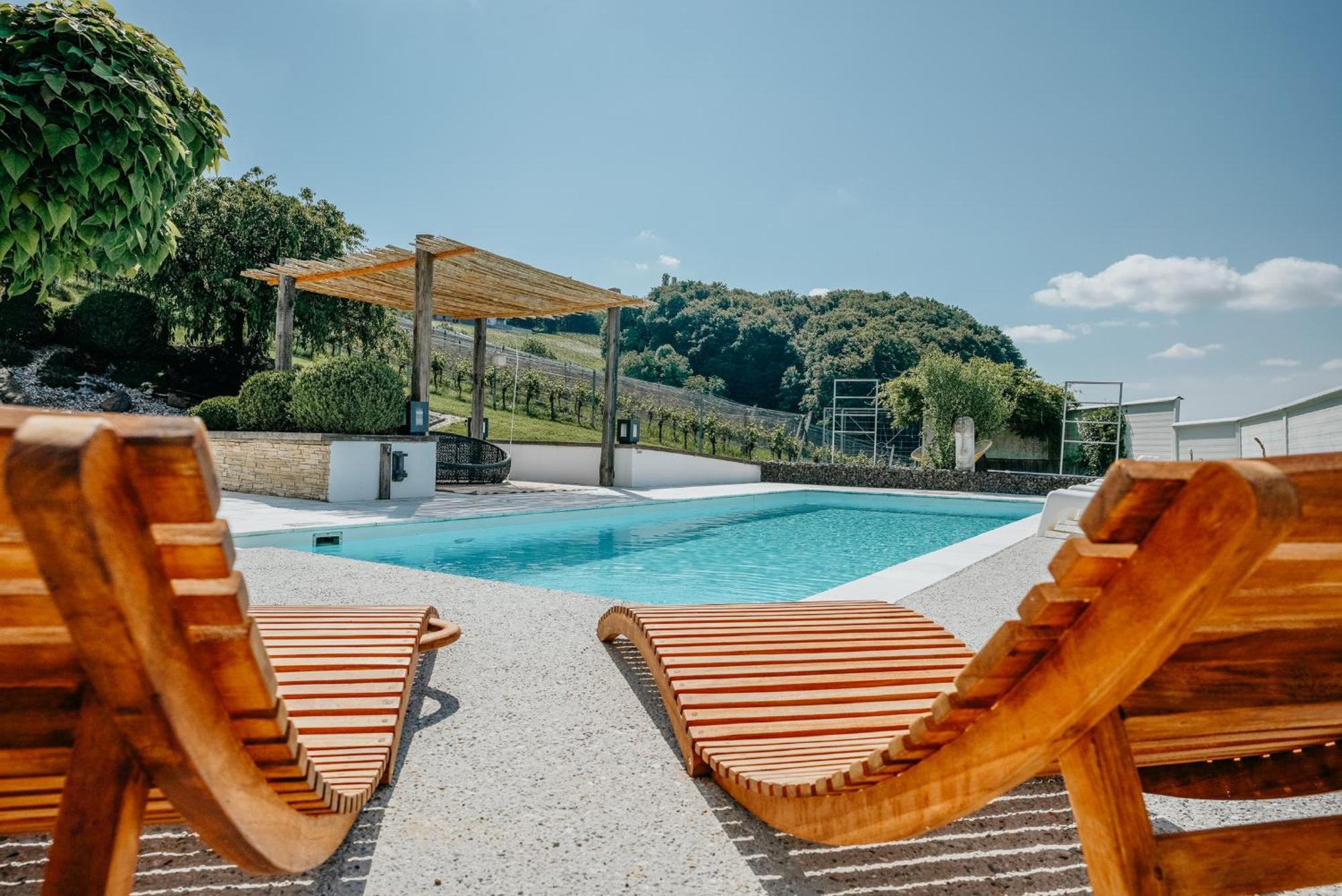 Weingut Holler Chalet Weingarten Spielfeld Luaran gambar